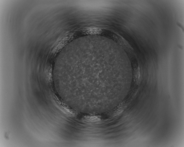 X0000102470553200808081253