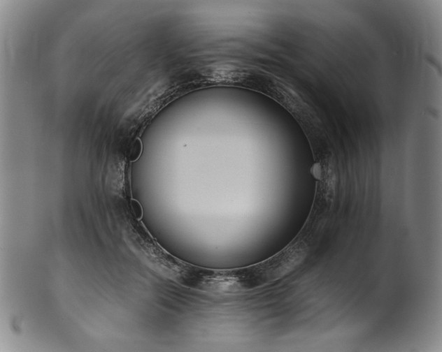 X0000102470554200808081253