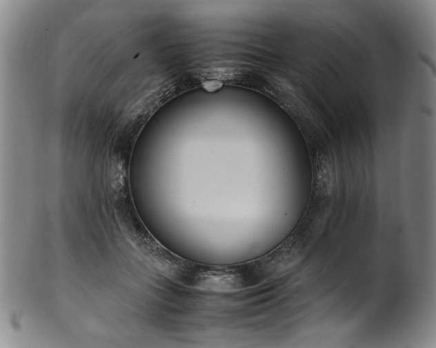 X0000102470555200808081253