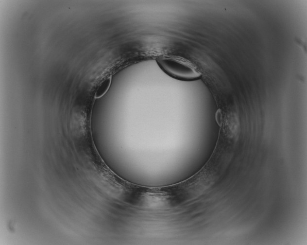 X0000102470556200808081253