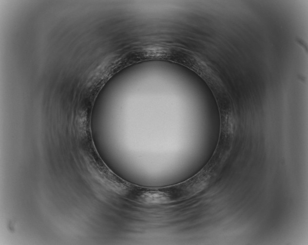 X0000102470557200808081253