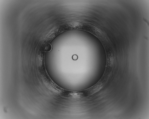 X0000102470558200808081253