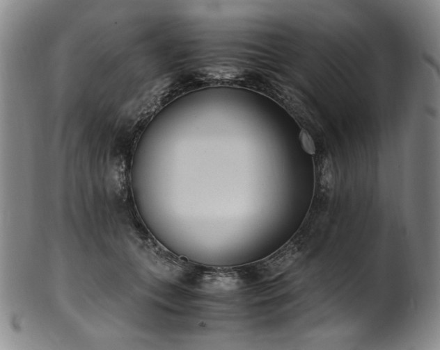 X0000102470559200808081253