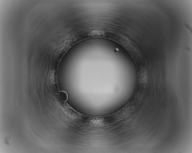 X0000102470560200808081253