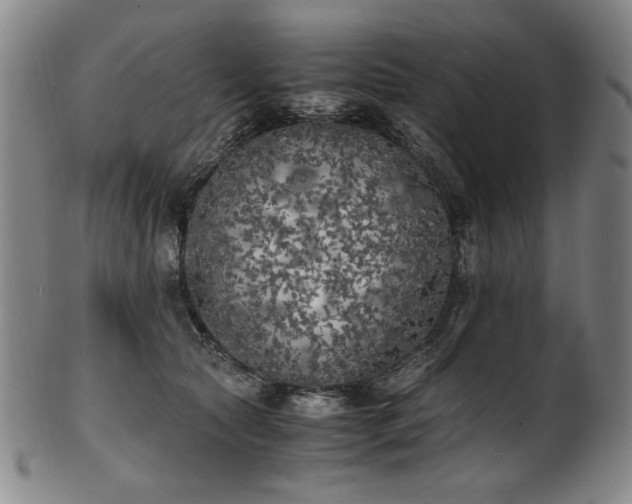 X0000102470561200808081253