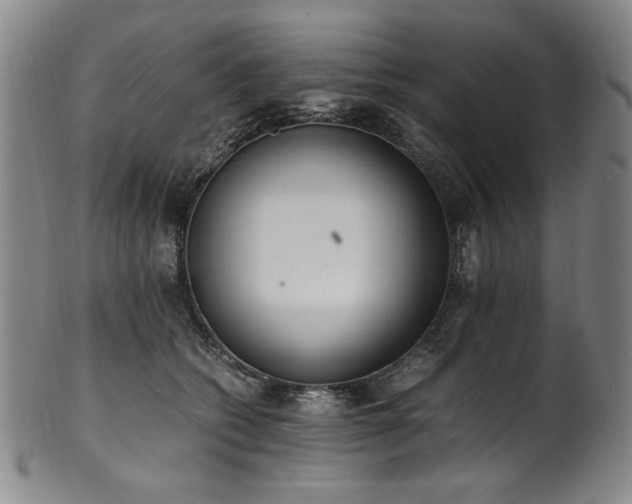 X0000102470562200808081253