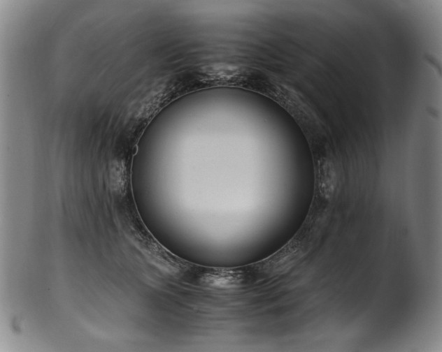 X0000102470563200808081253