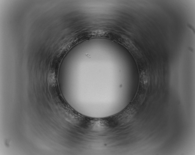 X0000102470564200808081253