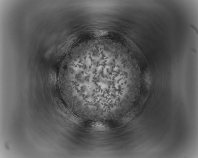 X0000102470565200808081253