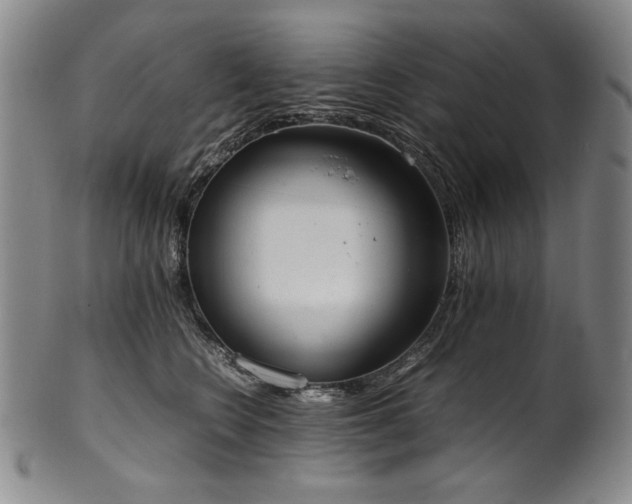 X0000102470566200808081253
