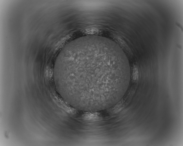 X0000102470569200808081253