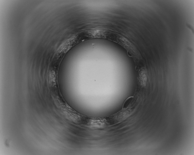 X0000102470571200808081253