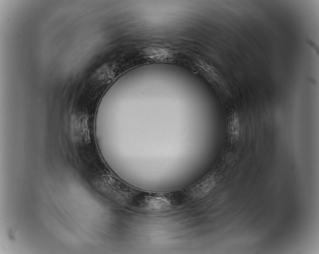 X0000102470572200808081253