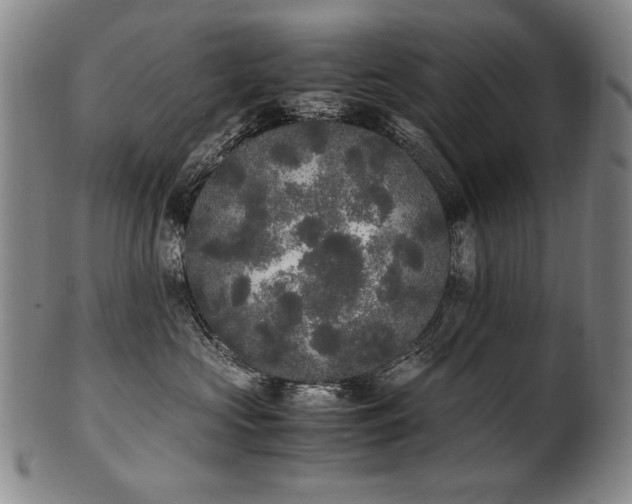 X0000102470573200808081253