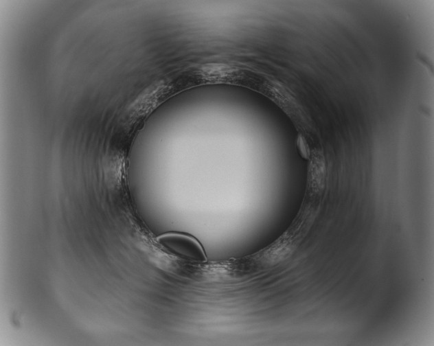 X0000102470574200808081253