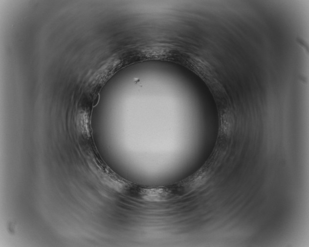 X0000102470575200808081253