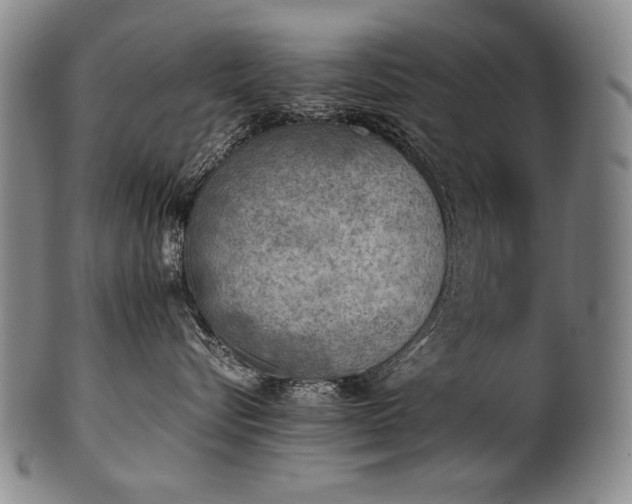 X0000102470576200808081253