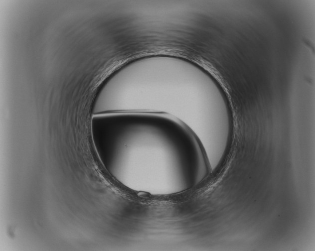 X0000102470577200808081252