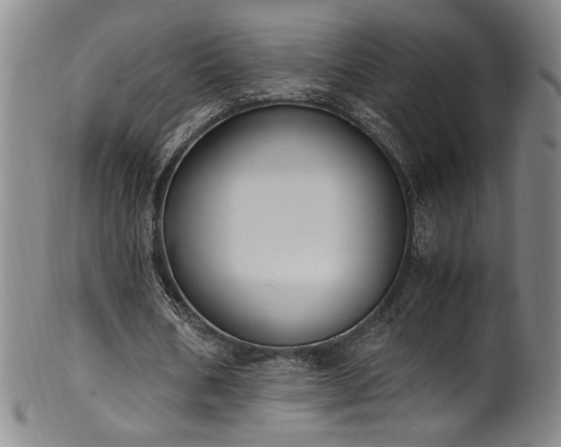 X0000102470578200808081252