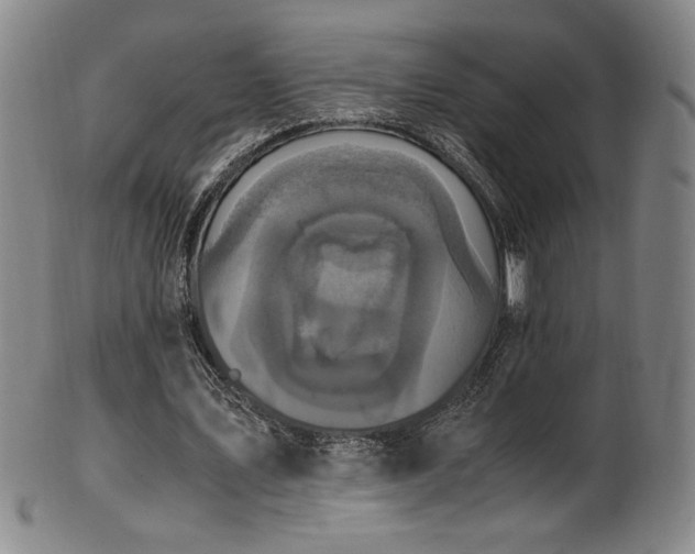 X0000102470579200808081252