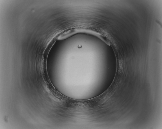 X0000102470580200808081252