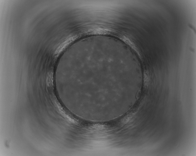 X0000102470581200808081252