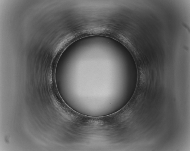 X0000102470582200808081252