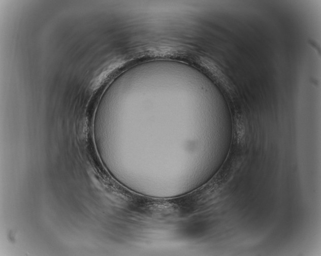 X0000102470583200808081252