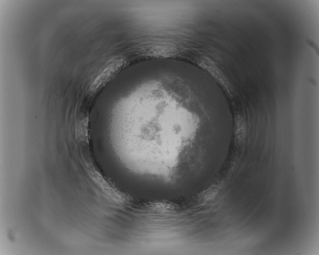 X0000102470585200808081252