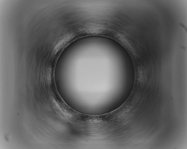 X0000102470586200808081252