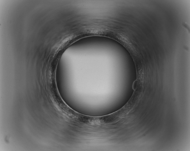 X0000102470587200808081252