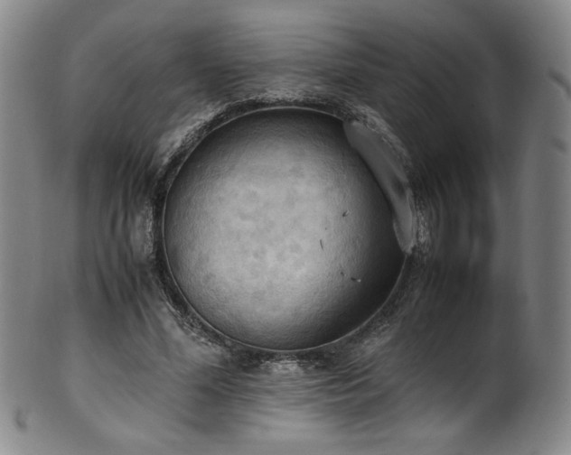 X0000102470588200808081252