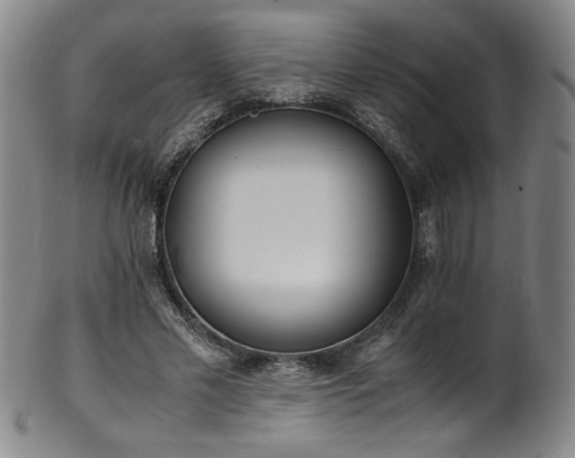 X0000102470589200808081252