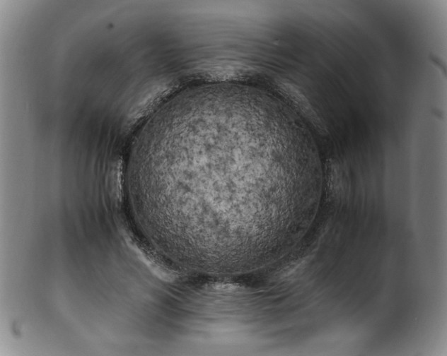 X0000102470590200808081252
