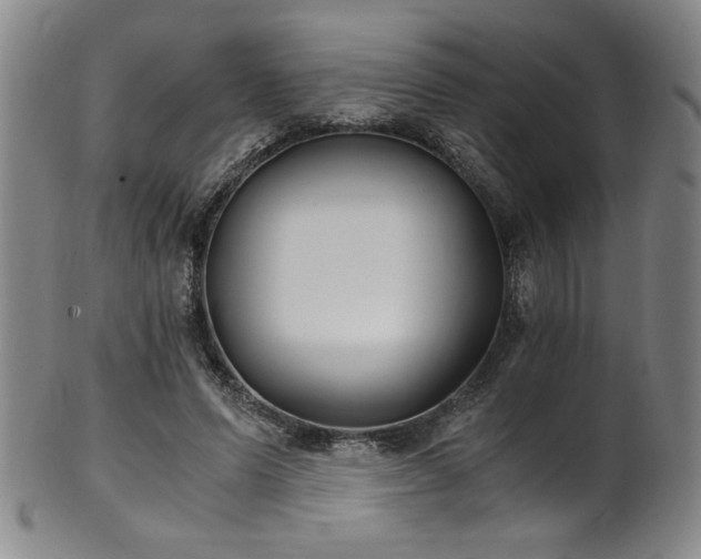 X0000102470591200808081252