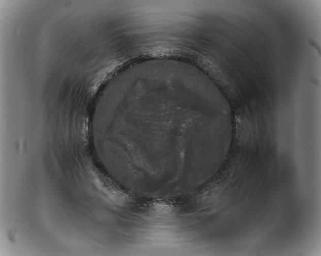 X0000102470592200808081252