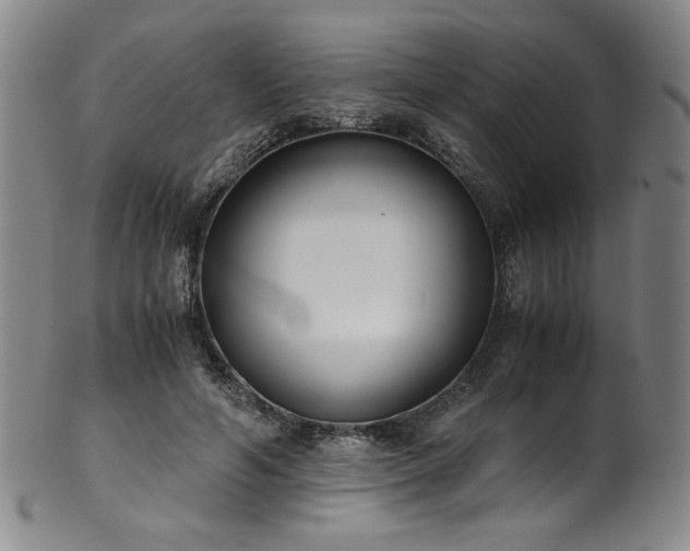 X0000102470594200808081252