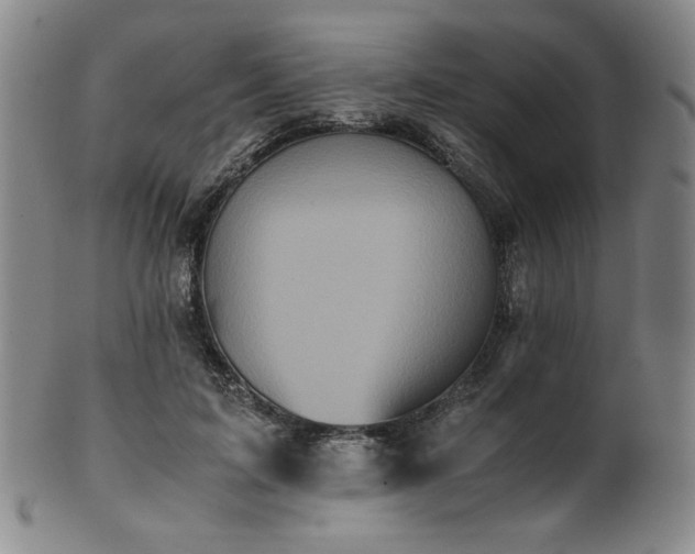 X0000102470595200808081252