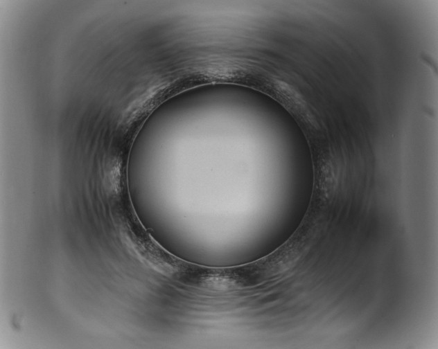 X0000102470596200808081252