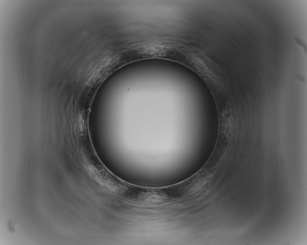X0000102470597200808081252