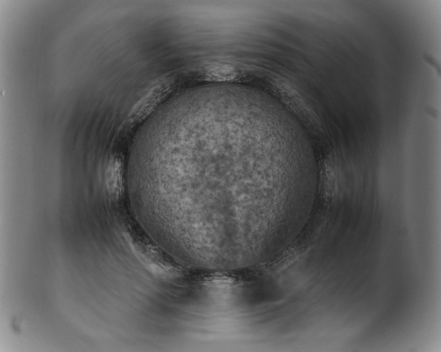 X0000102470598200808081252