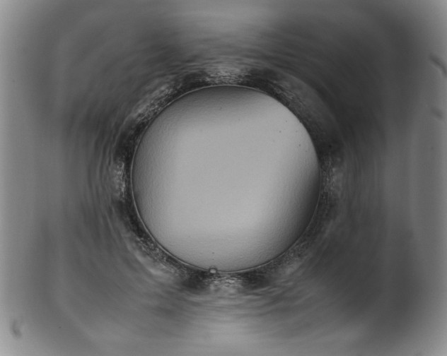 X0000102470599200808081252