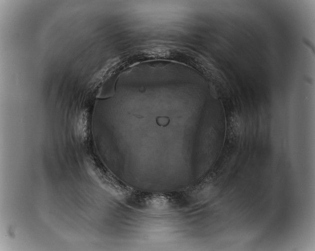 X0000102470600200808081252