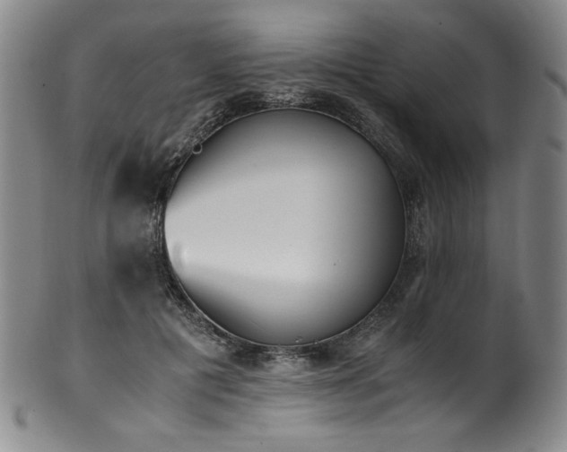 X0000102470601200808081252
