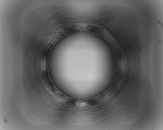 X0000102470602200808081252
