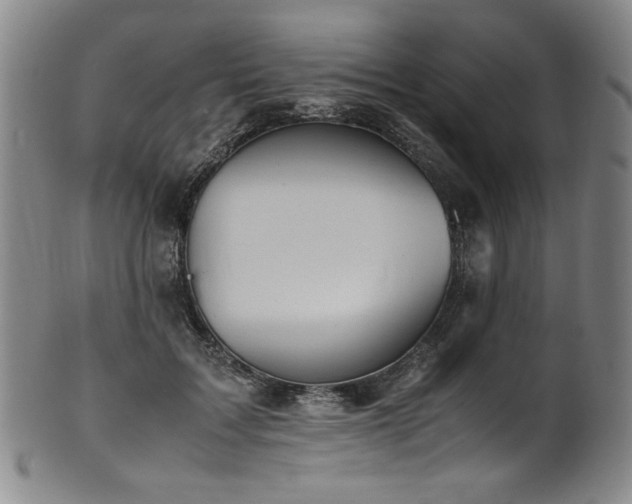 X0000102470603200808081252