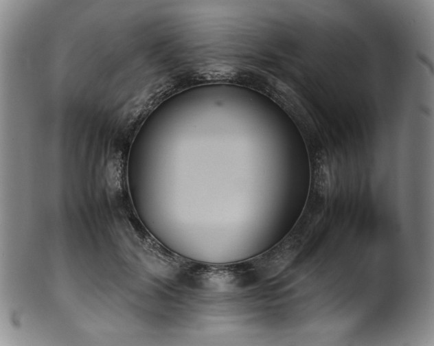 X0000102470604200808081252