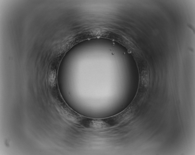 X0000102470605200808081252