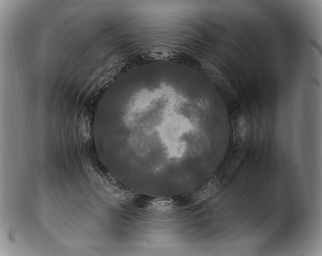 X0000102470606200808081252