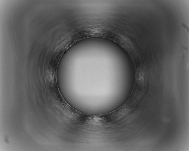 X0000102470607200808081252